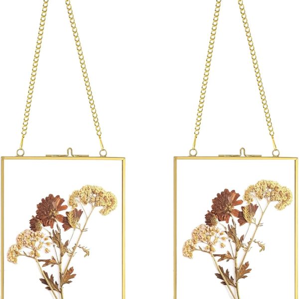 JUXYES Set of 2 Gold Brass Floating Picture Frames – 4x6 Double Glass Wall Hanging Display for Pressed Flowers, Photos, Artwork, Posters & Botanical Décor
