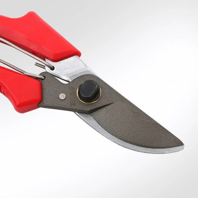 LMcenter's Garden Tools Fruit Tree Gardening Scissors - Image 4