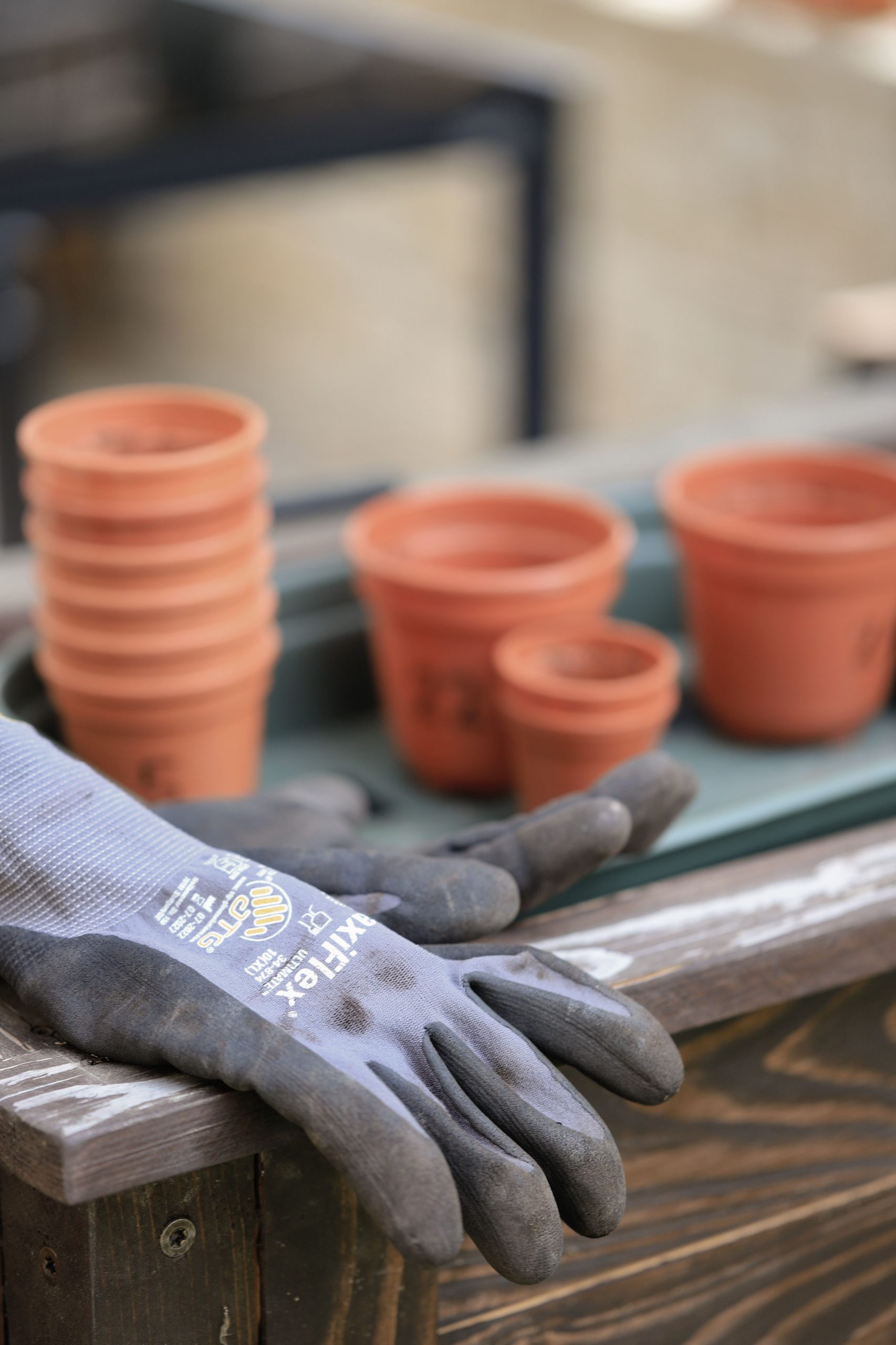 Garden Tools & Accessories